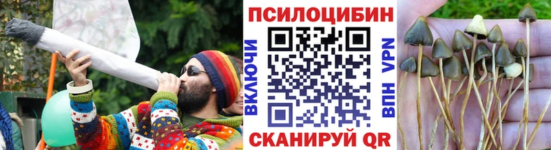 Галлюциногенные грибы Magic Shrooms  мега как зайти  Лиски 