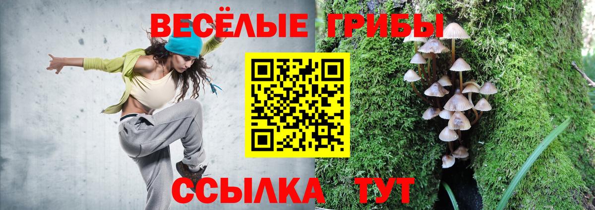 Лиски  Галлюциногенные грибы Psilocybe  Вход с VPN 